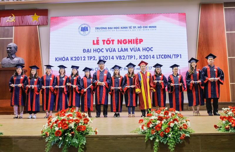 cá cược thể thao hul city